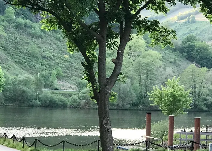 Gaestezimmer Klein Und Fein Fuer Nach Dem Wein