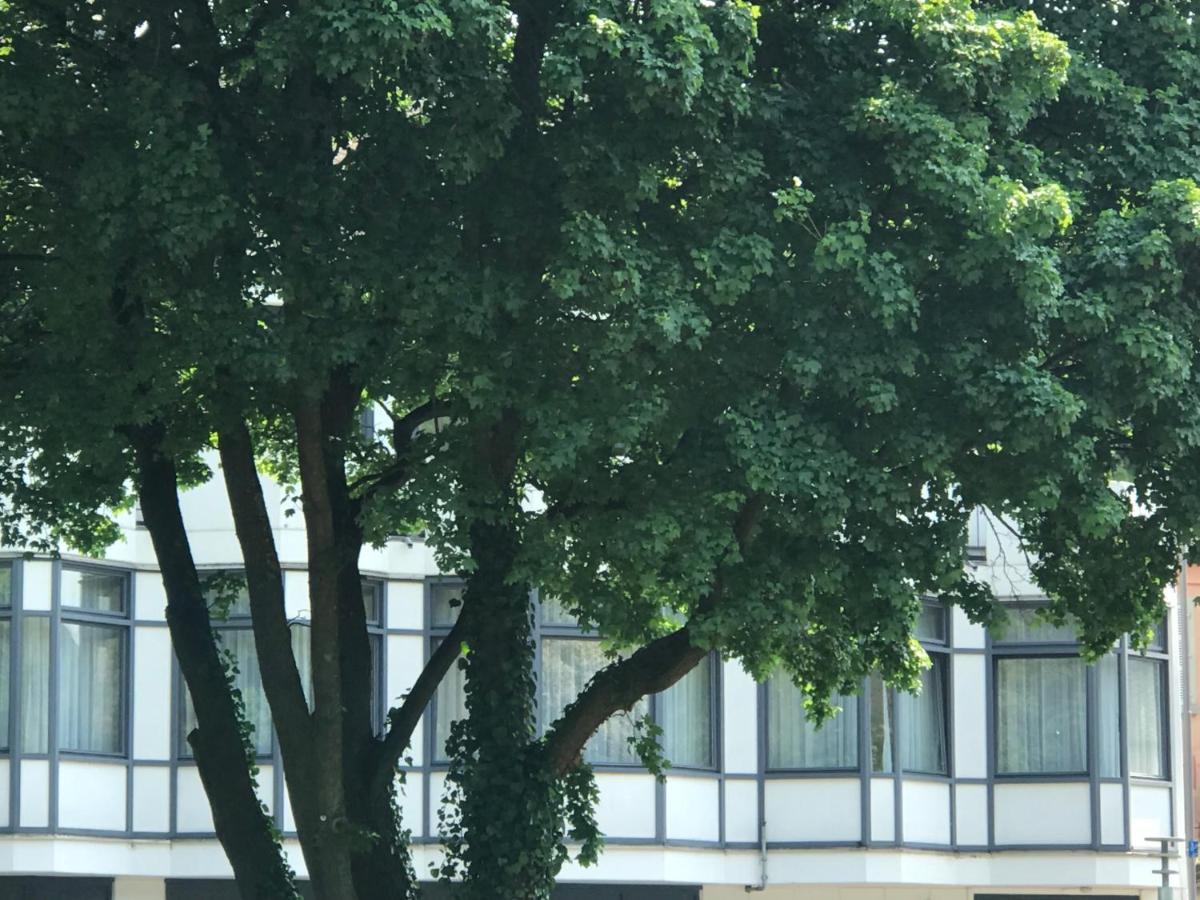 Gaestezimmer Klein Und Fein Fuer Nach Dem Wein Bed & Breakfast Neumagen-Dhron